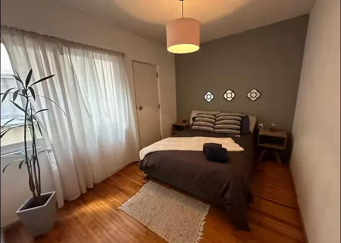 Apartamento Hermoso Departamento En Condesa *