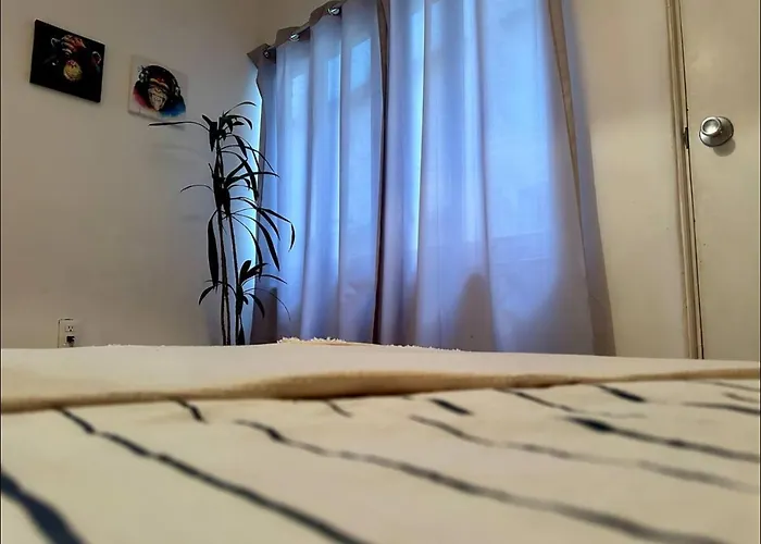 Hermoso Departamento En Condesa Apartamento México DF