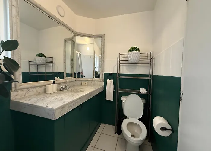 Hermoso Departamento En Condesa Apartamento